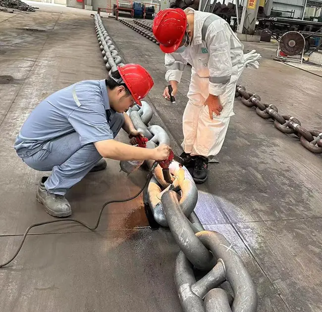 సముద్ర ప్రపంచం యొక్క 